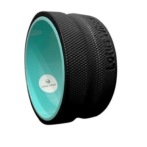 Lotus Wheel 27cm